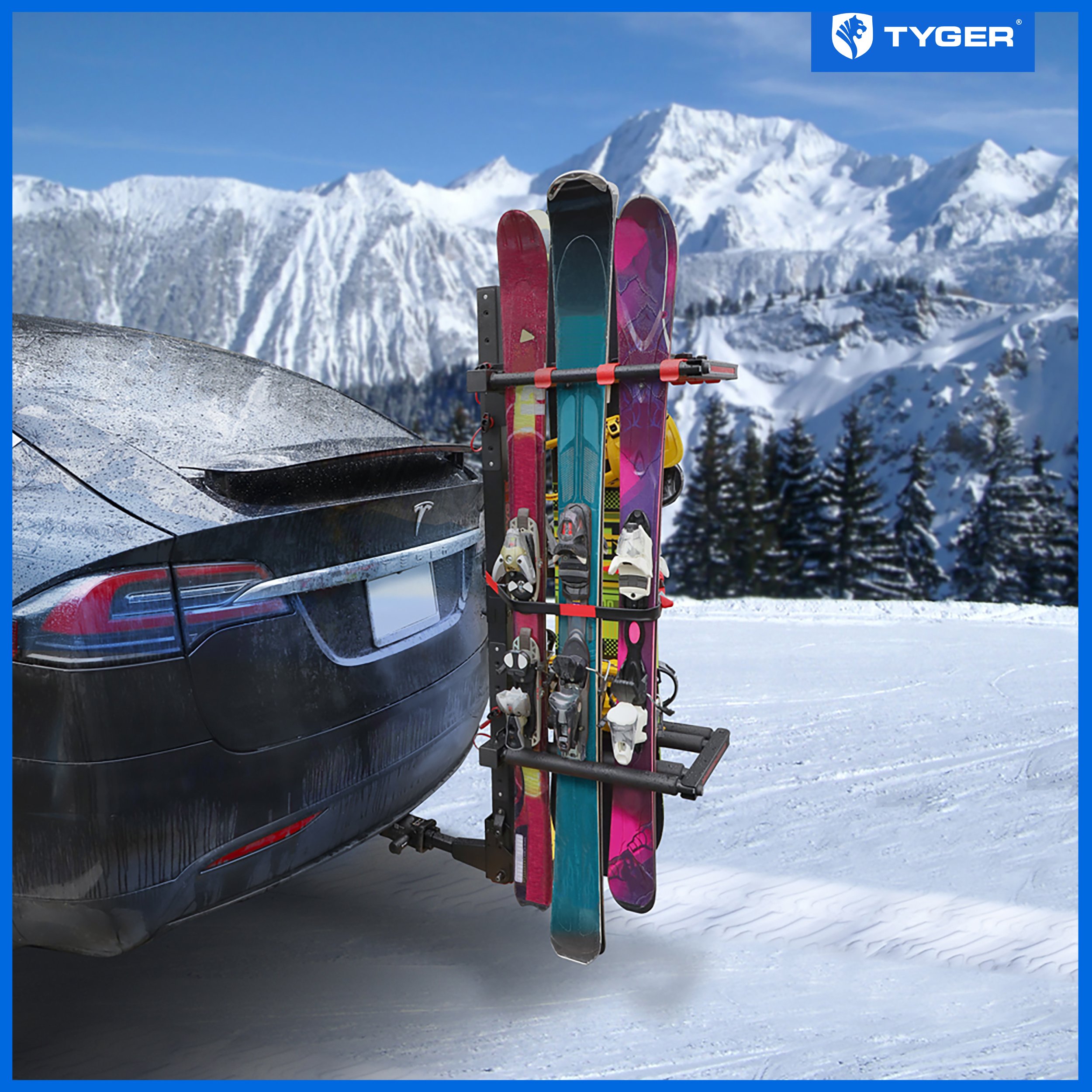 Lockable Ski and Snowboard Rack